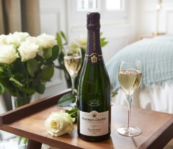 MS2-Fleur-Blanche-1-1